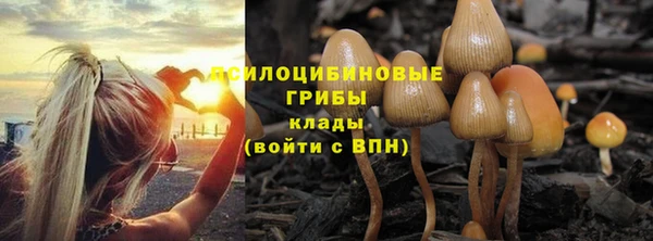мяу мяу кристалл Алзамай